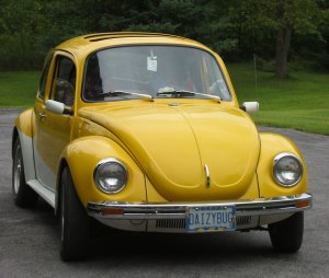 My beetle - yellow and white