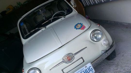 Picture of Hedgehug in the garage, with flowery magnet on the hood