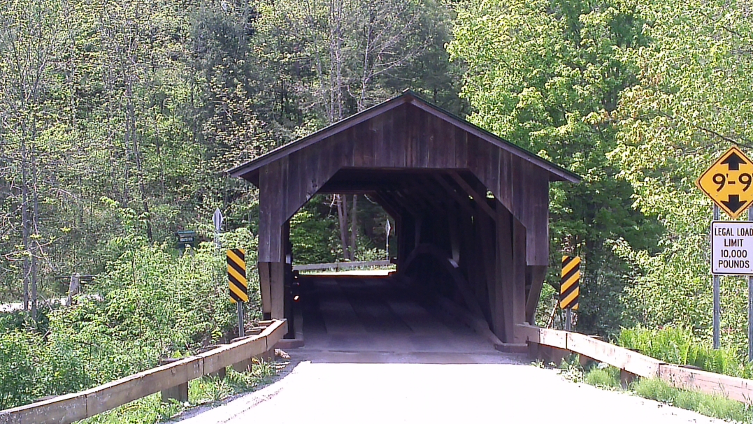 Covered bridge, surrounded by trees